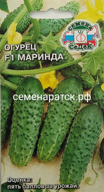 Огурец Маринда F1 (Седек) РТ-00000241 - фото 336032