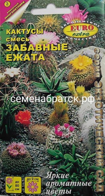 Цветы Кактус Забавные ежата смесь (Аэлита-экстра) Я1-00000359 - фото 341301