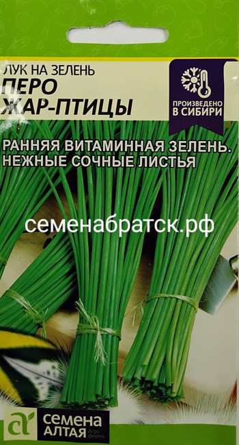 Лук на зелень Перо Жар Птицы (Семена Алтая) РТ-00001964 - фото 341630