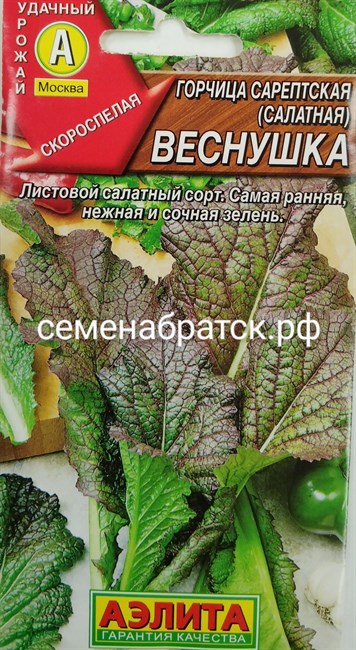 Горчица листовая Веснушка (Аэлита) РТ-00002107 - фото 341694