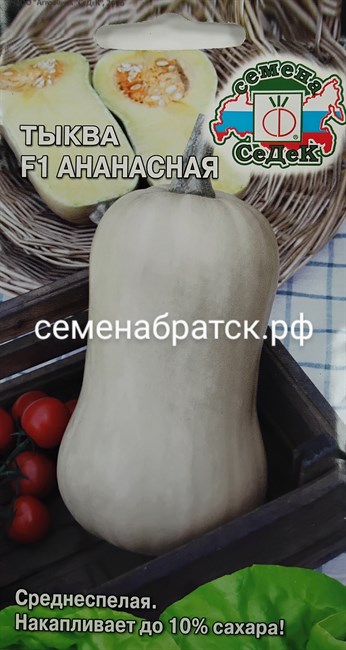 Тыква Ананасная F1 (Седек) СЦ-00000318 - фото 347222