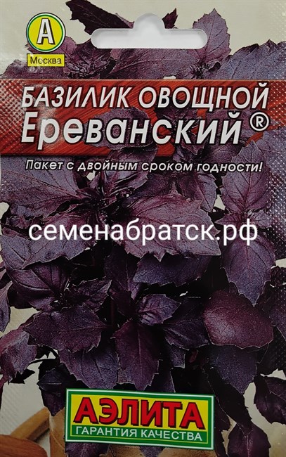 Базилик Ереванский (Аэлита) РТ-00000074 - фото 350830