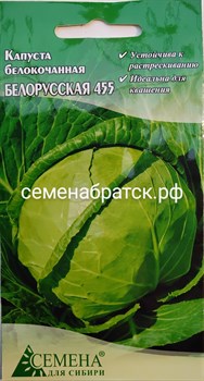 Капуста б/к Белорусская 455 (СдС Красноярск) РТ-00002252 - фото 359868