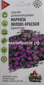 Цветы Лобелия Маркиза лилово-красная (Удачные семена) РТ-00004489 - фото 359950