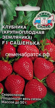 Земляника Сашенька F1 (Седек) РТ-00002876 - фото 367562