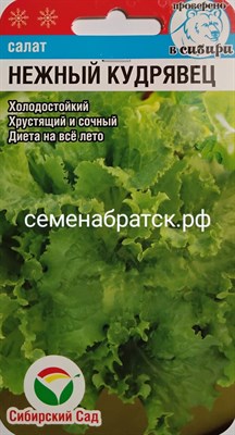 Салат Нежный кудрявец (Сибирский сад) К1-00001151 - фото 371985