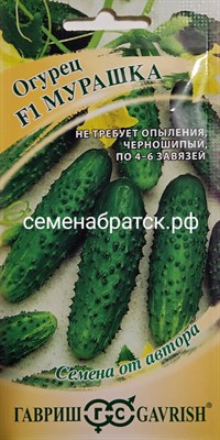 Огурец Мурашка F1(Гавриш) РТ-00001451 - фото 372042