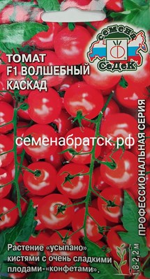 Томат Волшебный Каскад F1 (Седек) РТ-00000175 - фото 372056