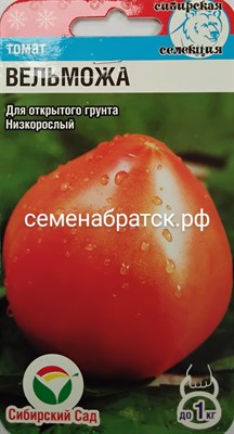 Томат Вельможа(буденовка сибирская) (Сибирский сад) РТ-00000164 - фото 372058