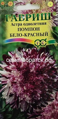 Цветы Астра Помпон бело-красный (Гавриш) РТ-00004455 - фото 372999