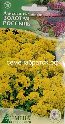 Цветы Алиссум Золотая россыпь (СдС Красноярск) Я1-00000094 - фото 373006