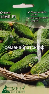 Огурец Темп F1 (6шт) (CдС Красноярск) РТ-00002896 - фото 376280