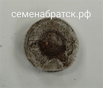 Таблетка торфяная ДЖИФФИ-3 Д33мм РТ-00001839 - фото 394625