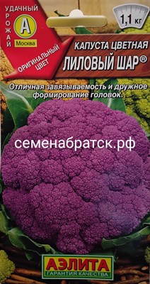 Капуста цветная Лиловый шар (Аэлита) РТ-00001755 - фото 397185