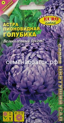 Цветы Астра Голубика пионовидная (Аэлита-экстра) РТ-00004888 - фото 397208