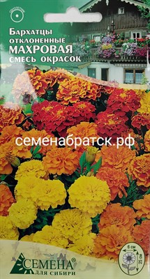 Цветы Бархатцы Махровая смесь (СдС Красноярск) РТ-00004897 - фото 397221