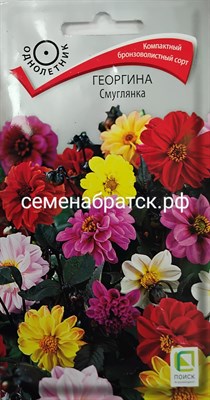 Цветы Георгина Смуглянка смесь (Поиск) РТ-00004908 - фото 402532