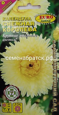 Цветы Календула Снежная королева (Аэлита-экстра) РТ-00002050 - фото 402540