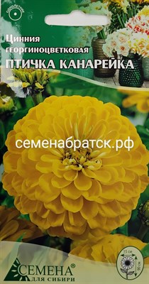 Цветы Цинния Птичка канарейка (СдС Красноярск) РТ-00004913 - фото 409475