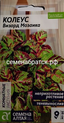 Цветы Колеус Визард Мозайка (Семена Алтая) 5шт РТ-00004871 - фото 410560