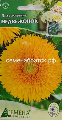 Цветы Подсолнечник Медвежонок (СдС Красноярск) Я1-00000772 - фото 411819