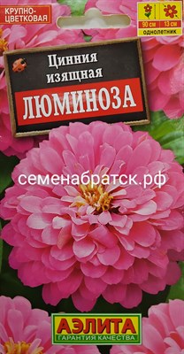 Цветы Цинния Люминоза (Аэлита) РТ-00004492 - фото 411845