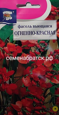 Цветы Фасоль Огненно красная (Урожай У дачи) К1-00001559 - фото 422996