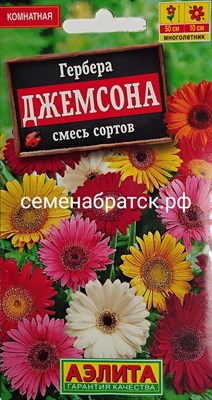 Цветы Гербера Джемсона (Аэлита) РТ-00002841 - фото 498904