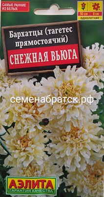 Цветы Бархатцы Снежная вьюга (Аэлита) К1-00000536 - фото 498978