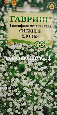 Цветы Гипсофила метельчатая Снежные хлопья (Гавриш) РТ-00002917 - фото 499037