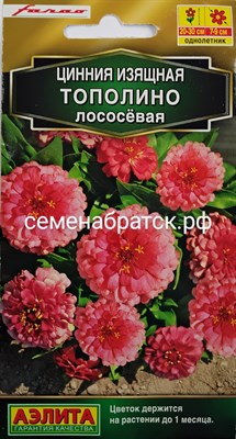 Цветы Цинния Тополино лососевая (Аэлита) РТ-00005302 - фото 499045