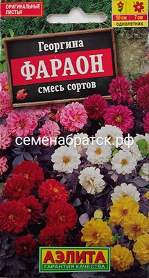 Цветы Георгина Фараон смесь (Аэлита) РТ-00001552 - фото 499053