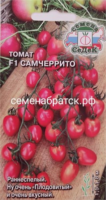 Томат Самчеррито F1 (Седек) РТ-00005281 - фото 499147