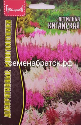 Цветы Астильба Китайская (Редкие) РТ-00005463 - фото 499177