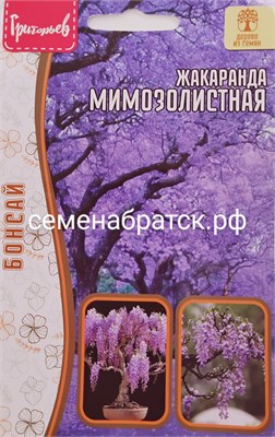 Цветы Жакаранда Мимозолистная (Редкие) РТ-00005599 - фото 499191