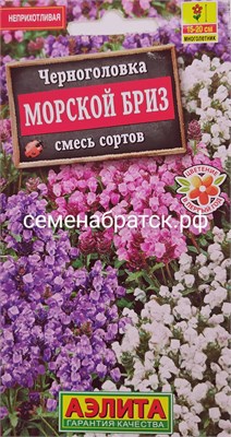 Цветы Черноголовка Морской бриз смесь (Аэлита) РТ-00005461 - фото 499193