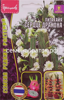 Цветы Питахайя Сердце дракона (Редкие) РТ-00005634 - фото 499203