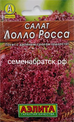 Салат Лолло Росса л/п (Аэлита) РТ-00003469 - фото 499243