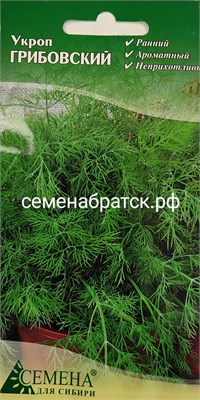 Укроп Грибовский (СдС Красноярск) РТ-00000384 - фото 499275