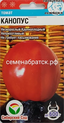 Томат Канопус (Сибирский сад) РТ-00000163 - фото 499309