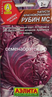 Капуста краснокочанная Рубин (Аэлита) РТ-00005259 - фото 499329