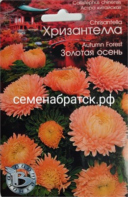 Цветы Астра Хризантелла Золотая осень (Биотехника) 30шт РТ-00005201 - фото 499384