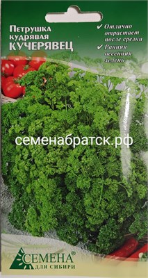 Петрушка кудрявая Кучерявец (СдС Красноярск) РТ-00005065 - фото 499467