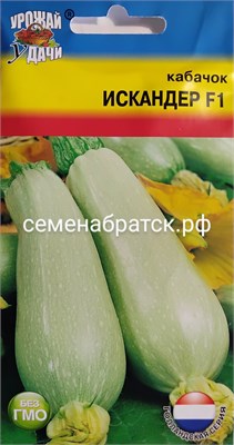 Кабачок Искандер F1 (Урожай У дачи) РТ-00004206 - фото 499501