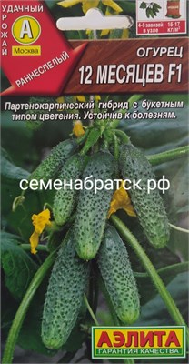 Огурец 12 месяцев F1 (Аэлита) Я1-00000748 - фото 499545