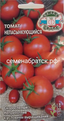 Томат Непасынкующийся (Седек) РТ-00005113 - фото 499589