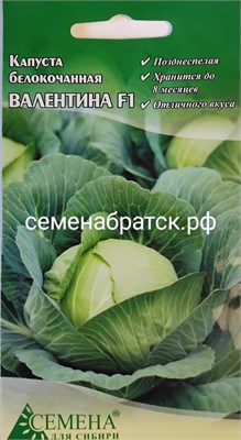 Капуста б/к Валентина F1 (СдС Красноярск) РТ-00005136 - фото 499634