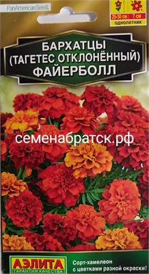 Цветы Бархатцы Файерболл(Аэлита) РТ-00005214 - фото 499698