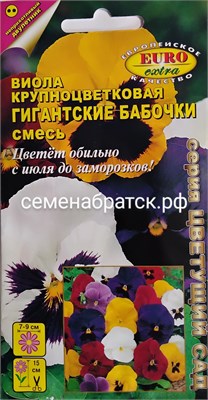 Цветы Виола Гигантские бабочки (Аэлита-экстра) ЯН-00000090 - фото 499711