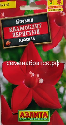 Цветы Ипомея Квамоклит красная (Аэлита) РТ-00000604 - фото 499717